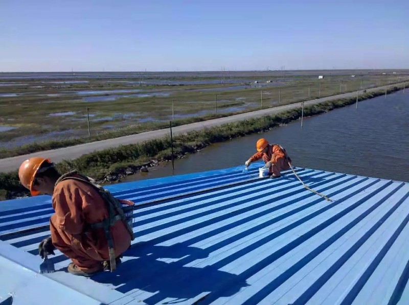 惠民彩钢瓦屋面防腐翻新